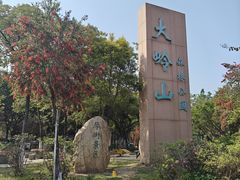 -东莞市大岭山森林公园