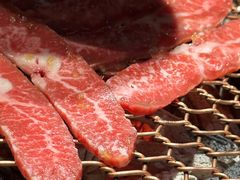 -农乐园炭火烤肉(世茂店)