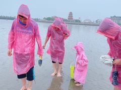 -奉贤海滩