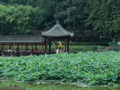 -龙头寺公园