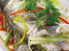 -天鹅到家·保姆月嫂育儿嫂(天河店)