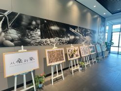 -太湖雪蚕桑文化园