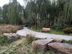 -南翔镇银翔湖公园