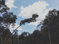 -热带雨林自然公园