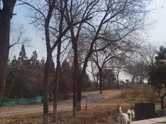 -云岗森林公园