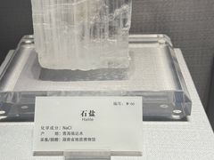 -湖南省地质博物馆