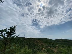 -五龙城郊森林公园