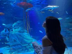 -沈阳海洋探索中心