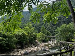 -石台牯牛降景区