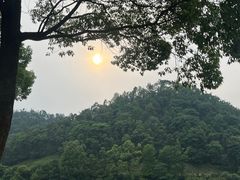 -桃花岭景区