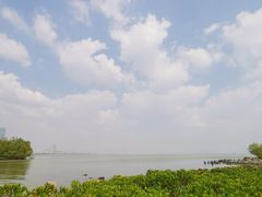-深圳湾公园(南山区)