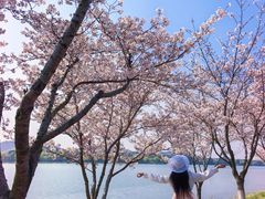 -羊山湖公园