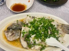香葱淋鲈鱼-粤·向群饭店(龙津东路总店)
