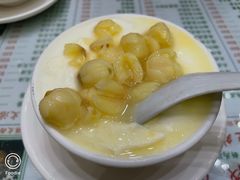 -义顺牛奶公司(新马路老店)