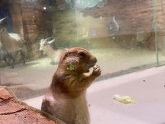 -正佳雨林生态植物园