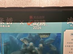 -淘米捞·米汤脆鲩鱼火锅(福田皇岗店)