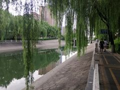 -金宫殿故址