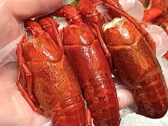 -洪福龙虾