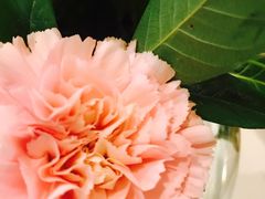 -威克特披萨汉堡