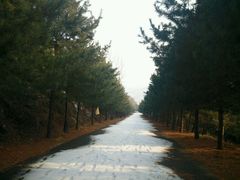 -大连天门山国家森林公园