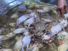 -聚盛源蒸汽海鲜火锅烤肉自助(巨川金海岸购物广场店)