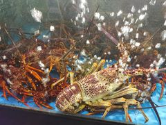 -蟹之国·精品蟹料理(极地店)