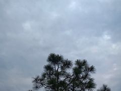 -雨花胜境