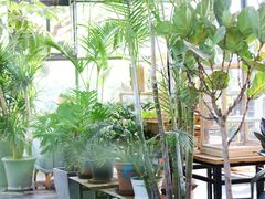 -北马山庄植趣咖啡