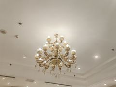 -朱记乳鸽王·非遗石岐乳鸽·全鸽宴(大兴旗舰店)
