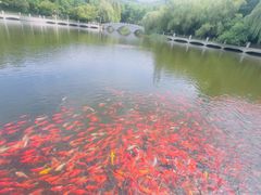 -大连植物园
