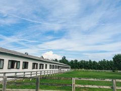 -北京群众马术培训基地