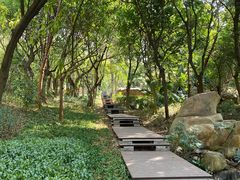 -深圳国际园林花卉博览园