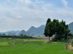 -万峰林风景区