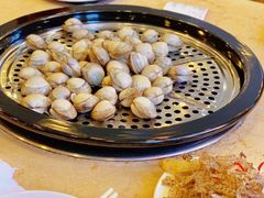 蒸蚬子-禾记海鲜烧烤(八一路店)