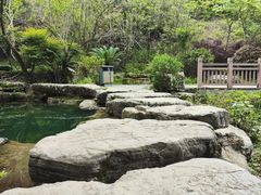 -桃花岭景区