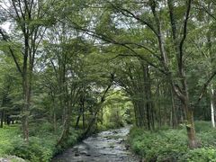 -凤凰山国家森林公园