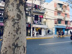 -村口大树(长乐路店)
