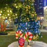 东莞……预测圣诞🎄爆火拍照点！！！