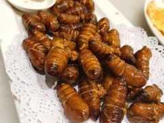 蚕蛹-华盛丰温州大排档(东三环南路店)