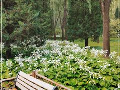 -森林公园(尖草坪区)