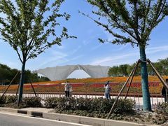 -东平国家森林公园