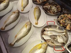 -船歌鱼水饺(淄博万象汇店)