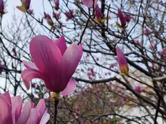 -华南国家植物园-售票处