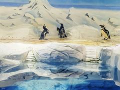 -上海海洋水族馆