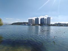 -大理洱海