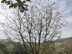 -中国移动南方基地