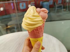 -麦当劳(塔园路店)