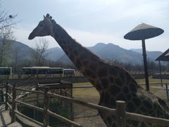 -西安秦岭野生动物园