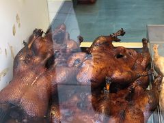 -狗撵鸭(泰山公寓店)