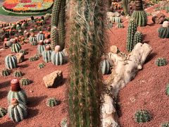 -南通洲际绿博园